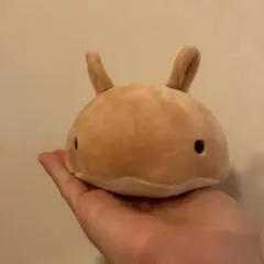 マシュマロアクアミエ・メンダコ