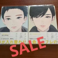 『カッコウの夢』 上下巻　ためこう