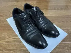 【磨き・ソール交換済】テクシーリュクス 27.0cm