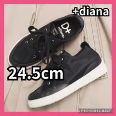 Item thumbnail for item 1ac324ea-0348-4056-bfff-90cef25e569e