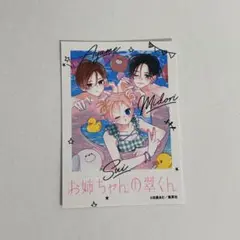 お姉ちゃんの翠くん サマーデートフォト風カード 別冊マーガレット 付録