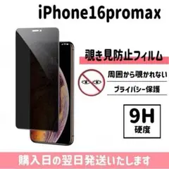 16promax 保護フィルム 覗き見防止 ガラスフィルム iPhone