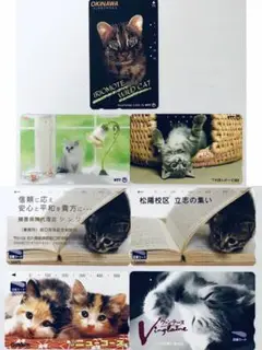 ねこ　図書カード　テレホンカード　使用済み