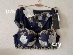 ワコール サルート73 salute ブラショーツ セット D75L L-UP