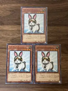 遊戯王OCG SR04-JP020 レスキューラビット N 3枚