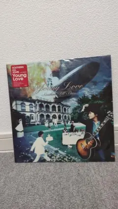 2025年最新】サザンオールスターズ young love レコードの人気