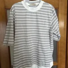 クロコダイル　L L ボーダー