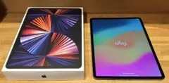 ◾️12.9iPad Pro256+Appleペン+キーボード