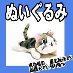 2025年最新】こねこのチー ぬいぐるみの人気アイテム - メルカリ