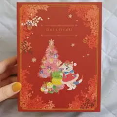 空き箱 ブック型 クリスマス 猫 ダロワイヨ ノエルニャカロン マカロン