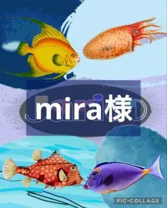 mira様　オーダーページ