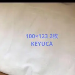 【フォーン様用】KEYUCA ケユカ　レースカーテン　100×123 2枚