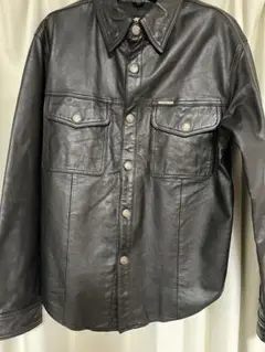 Item thumbnail for item 50081ee2-cc9d-4dc9-b173-93319a3ea029