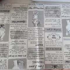 確認用ページ