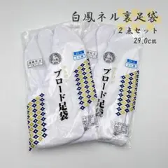 Item thumbnail for item dfda024d-2a10-4d78-9537-51ba51f22667