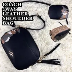 未使用に近い COACH レザー 2way ショルダーバッグ とんすけ ブラック