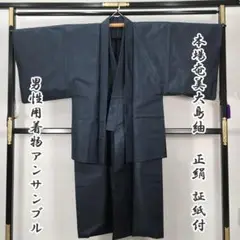 212md22本場奄美大島紬 ▲着物アンサンブル 100亀甲 正絹 男性 証紙