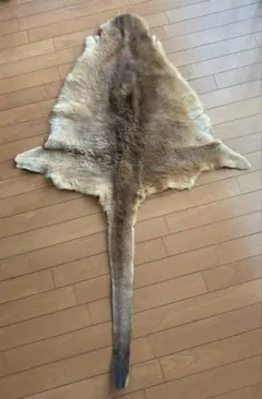 カンガルー　ラグ