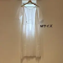 Item thumbnail for item 697cde28-6981-4541-9793-4a4b723c0216