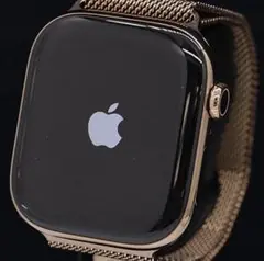 新品同様 アップルウォッチ シリーズ10 ゴールドチタニウム46m セルラー