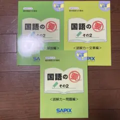サピックス 国語の要その2