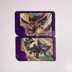 ポケモンフレンダ　3弾　ドドゲザン　ザルード