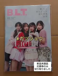 Item thumbnail for item ecb9073d-7f47-4acd-9a58-16a3029e0d58