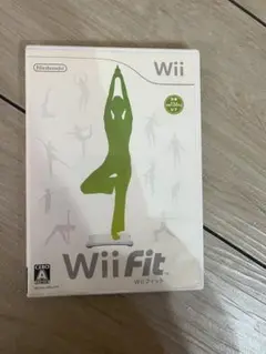 Wii Fit