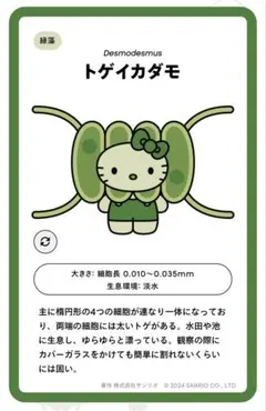 EXPO2025　日本館限定　サンリオ 藻キティ　シークレットピンバッチ
