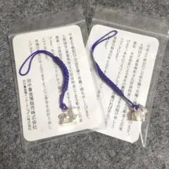 ♦銀製干支 根付け 巳 人間国宝 彫金工芸家 鹿島一谷 原型 SILVER900 2025年最新】鹿島一谷の人気アイテム - メルカリ
