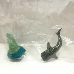 日本の水族館　海洋堂　ジンベエザメ　ジンベイザメ