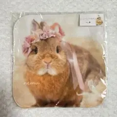 うさぎ　タオルハンカチ