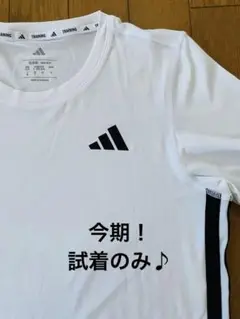 お値下げ♪ 今期　アディダス　adidas テニス　レディース　白　M 試着のみ