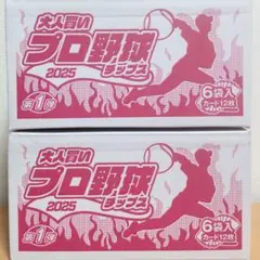 【2箱セット（カード24枚未開封）】プロ野球チップス 2025 第1弾