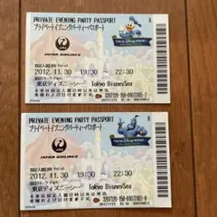 お値下げ‼️Private Evening Party 95 東京ディズニーランド Yahoo!オークション -「プライベートイブニングパーティー」の