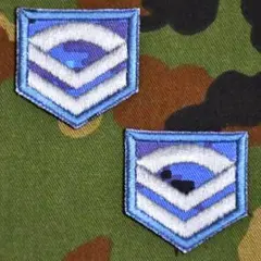 【送料込】2等海曹 海上自衛隊 迷彩服用 階級章