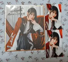櫻坂46 向井純葉 サクコレ会場くじ C賞＆参加賞