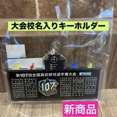 校名入りキーホルダー