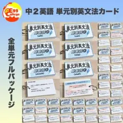 【中2フルパッケージ】単元別英文法カード　中学生　テスト　復習　予習　参考書