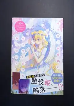ある日、お姫様になってしまった件について10