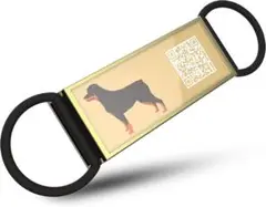 Item thumbnail for item 43227250-e53c-4748-8dc0-091e7acf4e5c