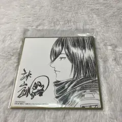 （専用）進撃の巨人 映画 入場特典 ミカサ