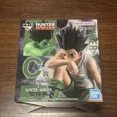 一番くじ HUNTER × HUNTER CHMERA ANT C賞 ゴン