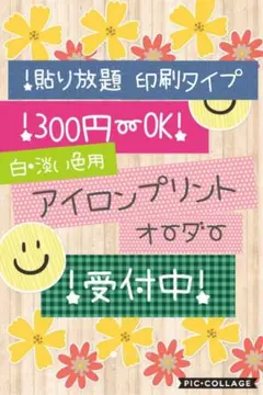 300円〜アイロンプリントオーダー