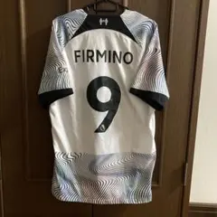 Item thumbnail for item c6847522-533a-4475-9588-3b0a79cf6759