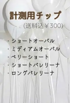 計測用チップ サイズ確認用