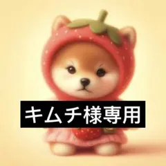 専用ページ