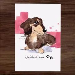 イラスト 原画 ポストカード 絵 【ダックス】91