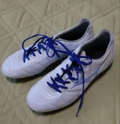 MIZUNO　レビュラカッププロ　25cm