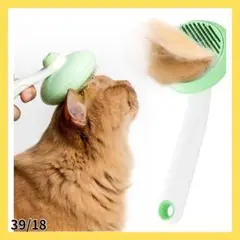 Item thumbnail for item c882d056-a134-4dc5-b143-af9997c68334